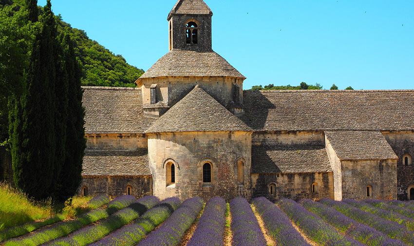Autour du Mas des Grès - Abbaye Notre-Dame de Sénanque